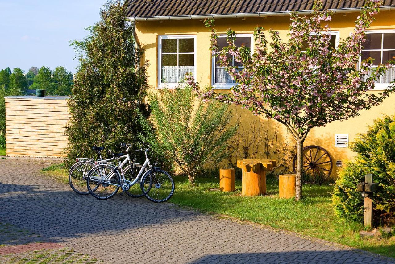 Hotel Am Mueritz-Nationalpark Waren  Exteriér fotografie